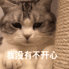 萌宠 喵星人 我没有不开心 不高兴 搞怪 呆萌