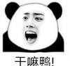 暴漫 文字表情包 干嘛鸭 搞笑 逗 沙雕