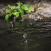 风景 雨 下雨 池塘
