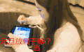 赵丽颖 颖宝 漂亮 搞笑
