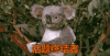 话题终结者 考拉 打脸 攻击 聊天结束
