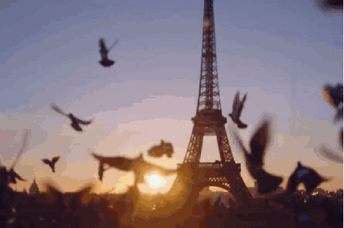埃菲尔铁塔 巴黎 法国 维多利亚的秘密 鸽子