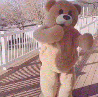 玩偶熊 跳舞 摇摆 魔性 搞怪