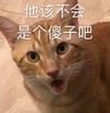 萌宠 喵星人 他是个傻子 鄙视 搞怪 嫌弃