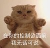萌宠 猫星人 在你的控制欲面前 我无话可说 呆萌 可爱