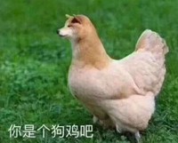 大杂烩 魔性 沙雕 文字表情包 搞怪
