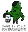 小鸡崽子 我今天就给你点 颜色看看 金馆长 绿巨人 蘑菇头 哭泣