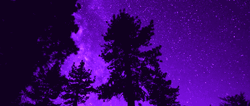 风景 夜晚 树木 流星
