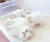 猫咪 白毛 可爱 塑料箱