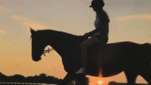 骑马 黄昏 日落 美女