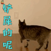 Hi室友 胡先煦 笑死宝宝了 开心 soogif soogif出品