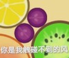游戏 合成大西瓜 你是我触碰不到的风 无奈 搞怪 逗