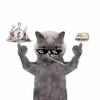 抖音 抖音蓝猫 蓝猫 社会猫 抖音