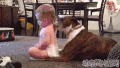 舔 狗狗 小孩 洗澡