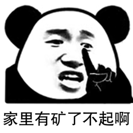 流行表情 熊猫人 家里有矿 了不起啊 生气
