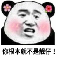 熊猫头 不是靓仔 害羞 脸红 斗图 搞笑 猥琐