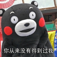 熊本熊 可爱 呆萌 斗图 你从来没有得到过我