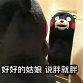 熊本熊 卡通 搞笑 说胖就胖