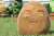 心情