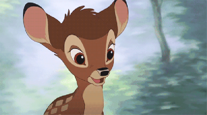 鹿 动物 表情 可爱