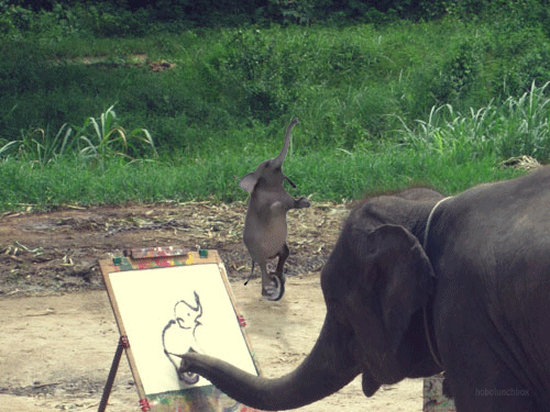 大象 绘画 舞蹈 得意 杂技 独轮车