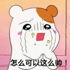 怎么可以那么帅 小仓鼠 可爱 哭泣 求求