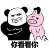 猪 熊猫人 看看 搞怪 逗