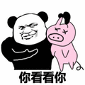 猪 熊猫人 看看
