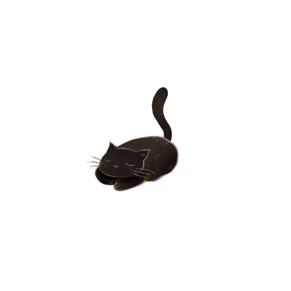 猫咪 摇尾巴 黑色