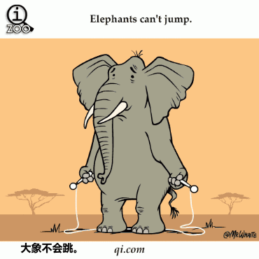 大象 跳绳 可爱 走路