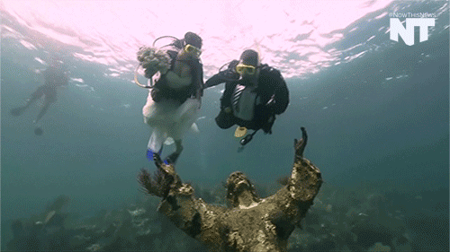雕塑 水下潜水 婚礼 艺术
