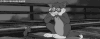 猫和老鼠 汤姆 杰瑞 轨道 痛苦 求死 悲伤 卡通 tom and jerry