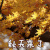 soogif soogif出品 立秋 秋天来了