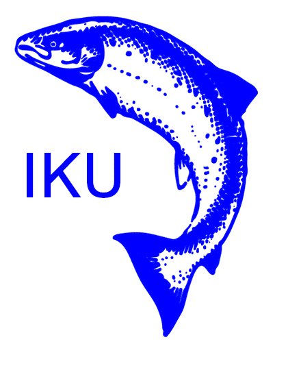 鱼 绘画 创意 IKU