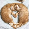 萌宠 猫星人 笔芯 爱你 呆萌 可爱