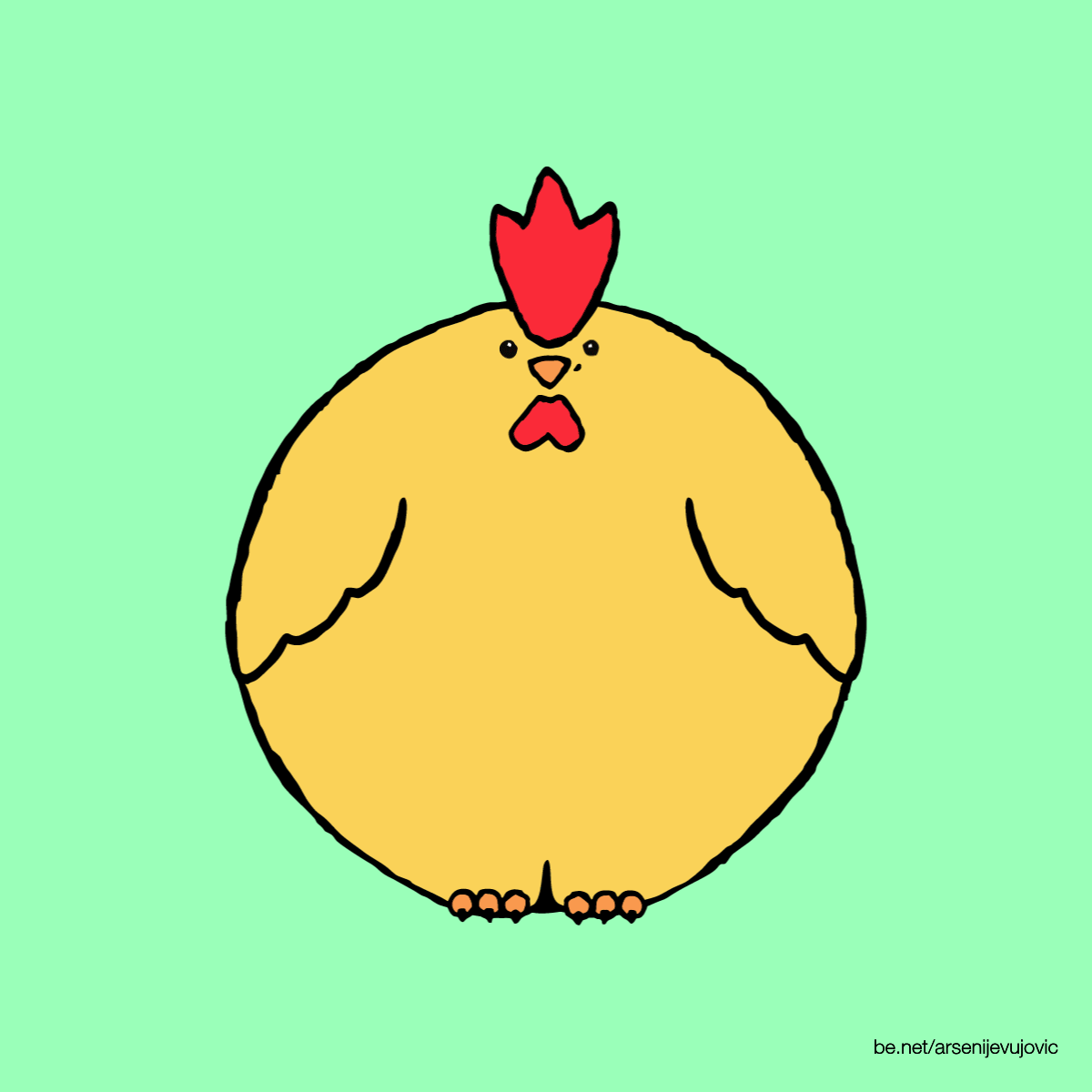 鸡 chicken animal 圆形