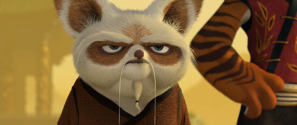 卡通 动漫 功夫熊