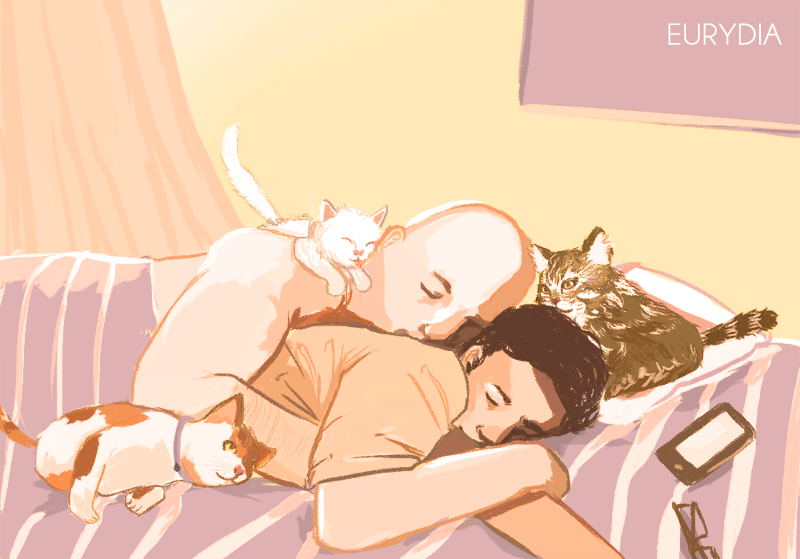 小猫 床上 睡觉 房间