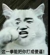 萌宠 猫咪 猫 老子一拳 一拳 打成 傻逼 生气