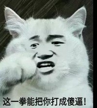 萌宠 猫咪 猫 老子一拳 一拳 打成 傻逼 生气
