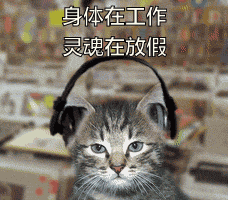 猫猫 听音乐 摇晃 灵魂在放假 想放假 身体在工作