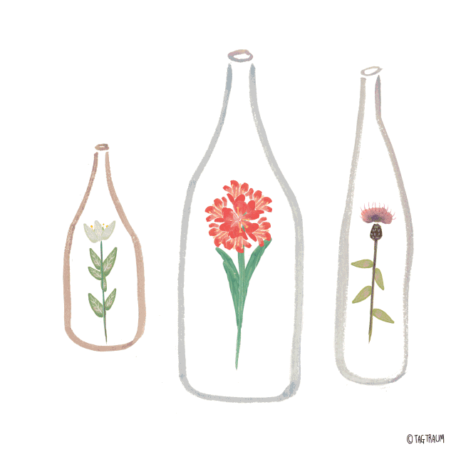 花朵 瓶子 手绘 舞动