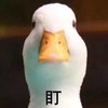 鸭子 恶搞 雷人 斗图 盯