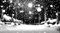 下雪 雪花 路灯 树木 黑白