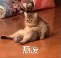 萌宠 猫星人 颓废 失落 呆萌 可爱