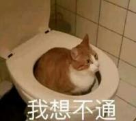 大杂烩 魔性 文字表情包 搞笑 蠢萌