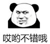暴漫 文字表情包 哎哟不错哦 搞笑 魔性 逗