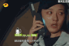 花儿与少年 综艺