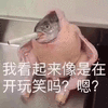 开玩笑 鱼