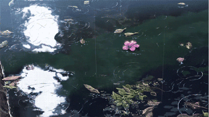 倒影 湖水 花朵 粉色